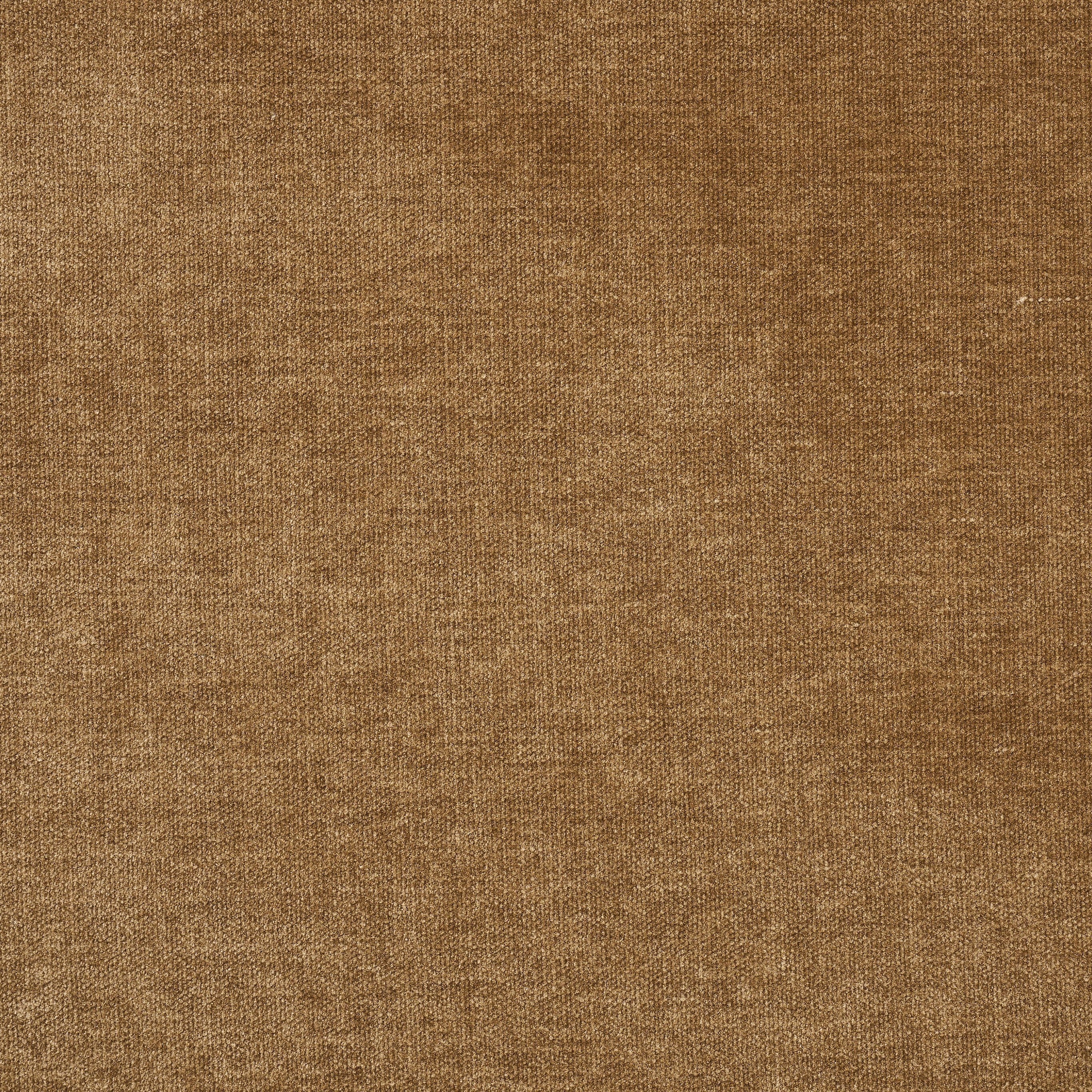 RAVINA CAMEL